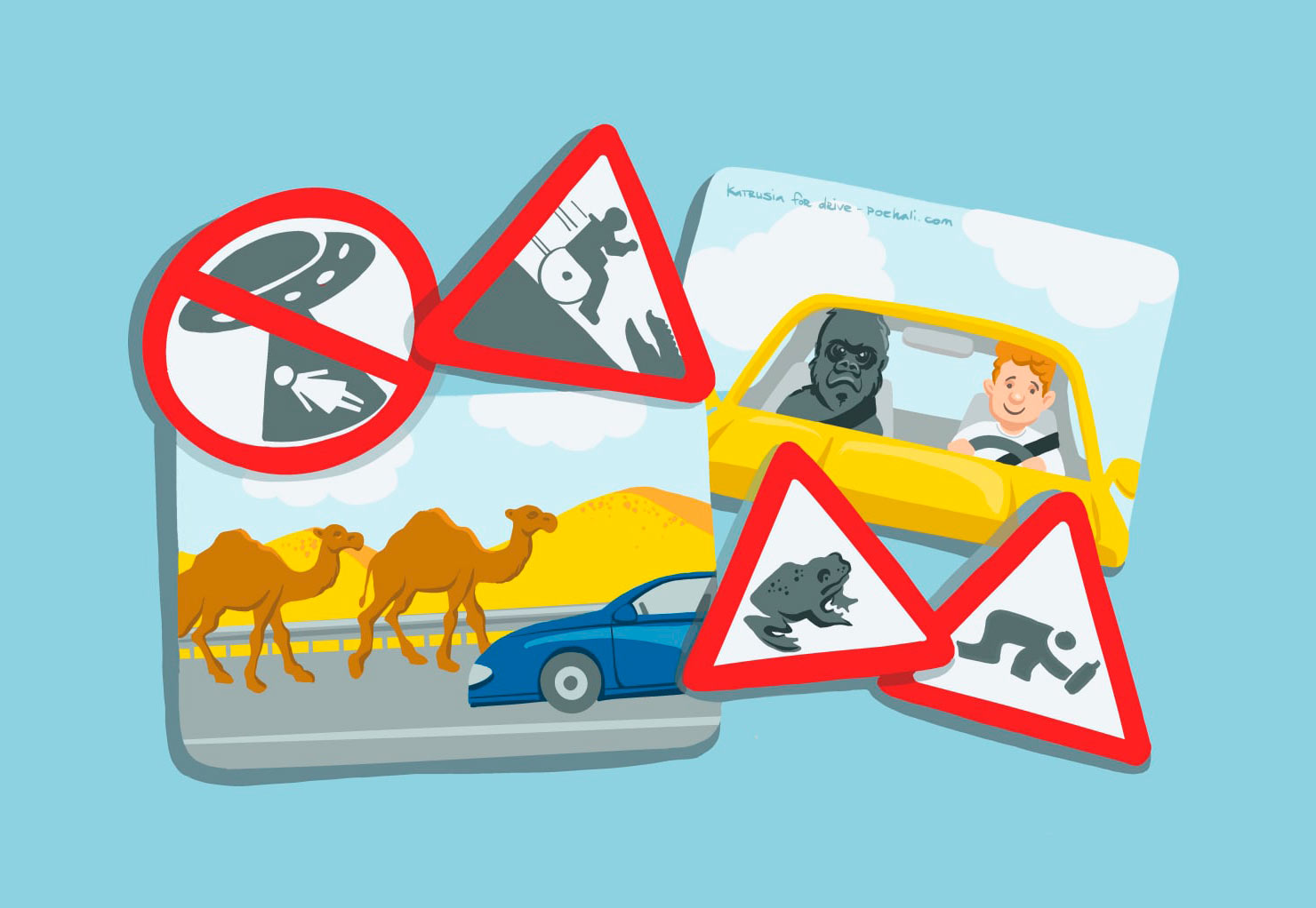 Необычные знаки и правила ПДД в разных странах мира